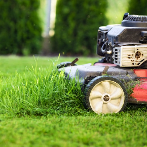 Lawn Mowing